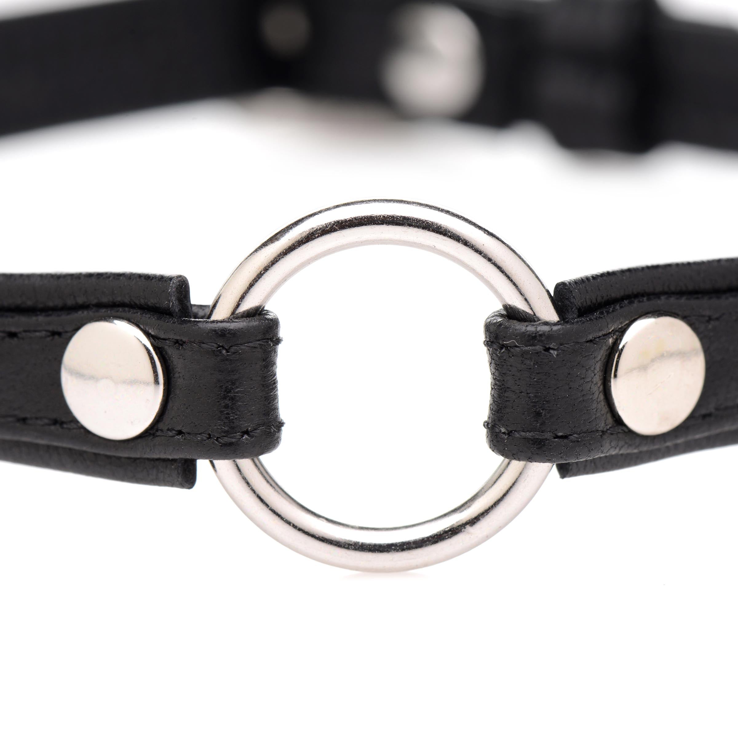 Pet Leather Choker with Silver Ring - Sex
