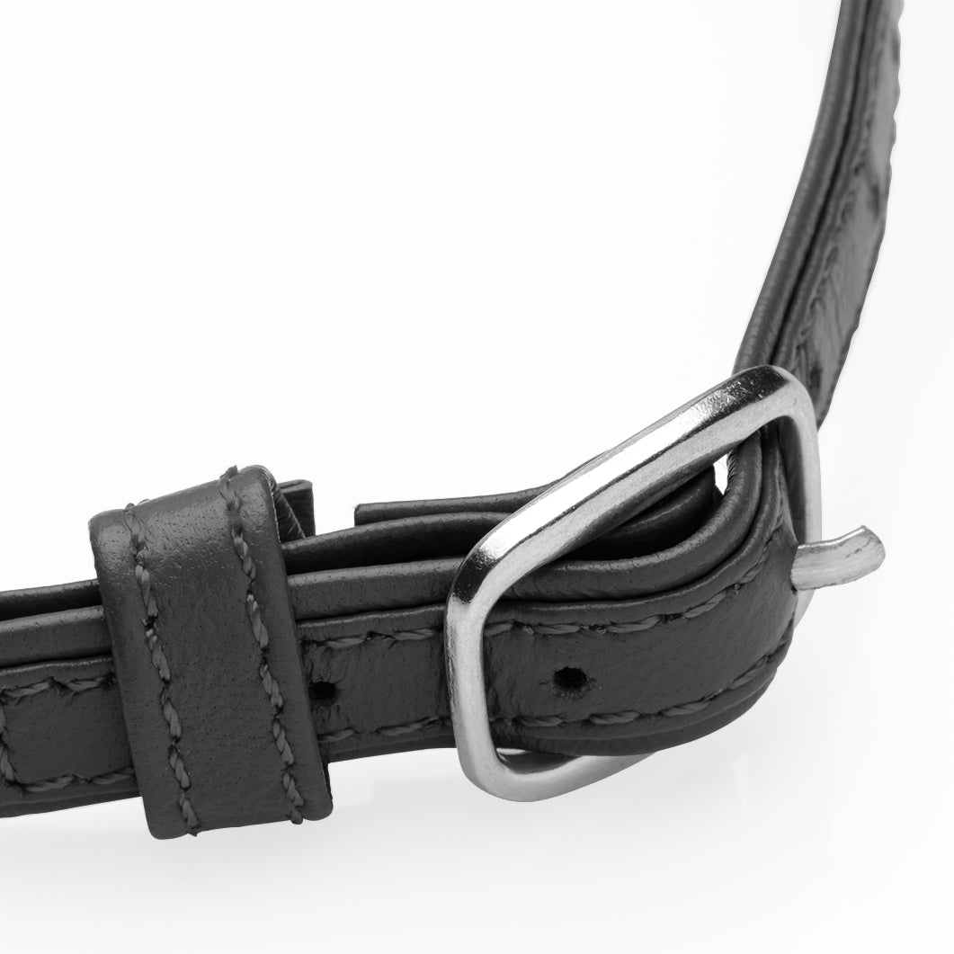 Pet Leather Choker with Silver Ring - Sex