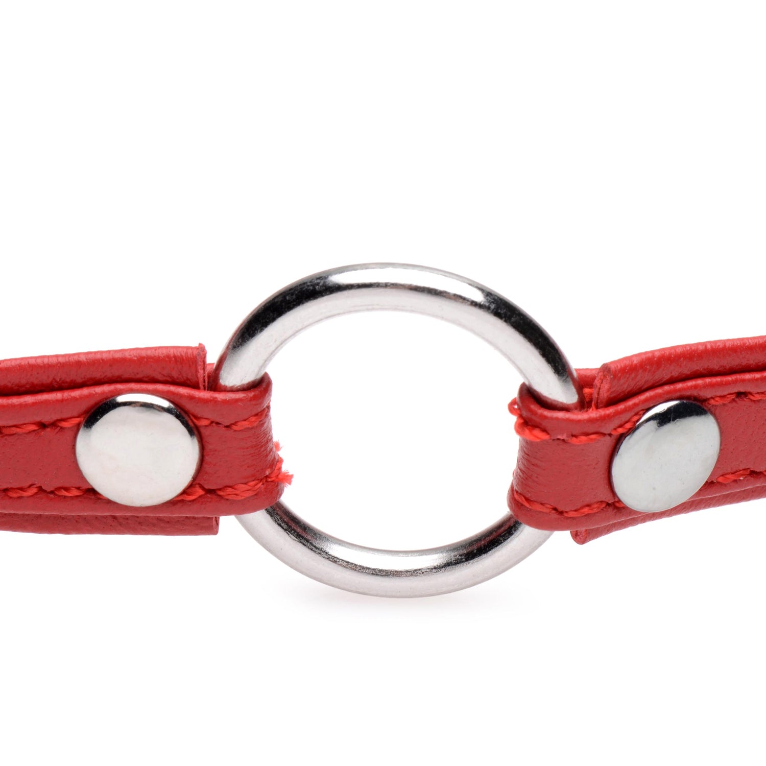 Pet Leather Choker with Silver Ring - Fiery
