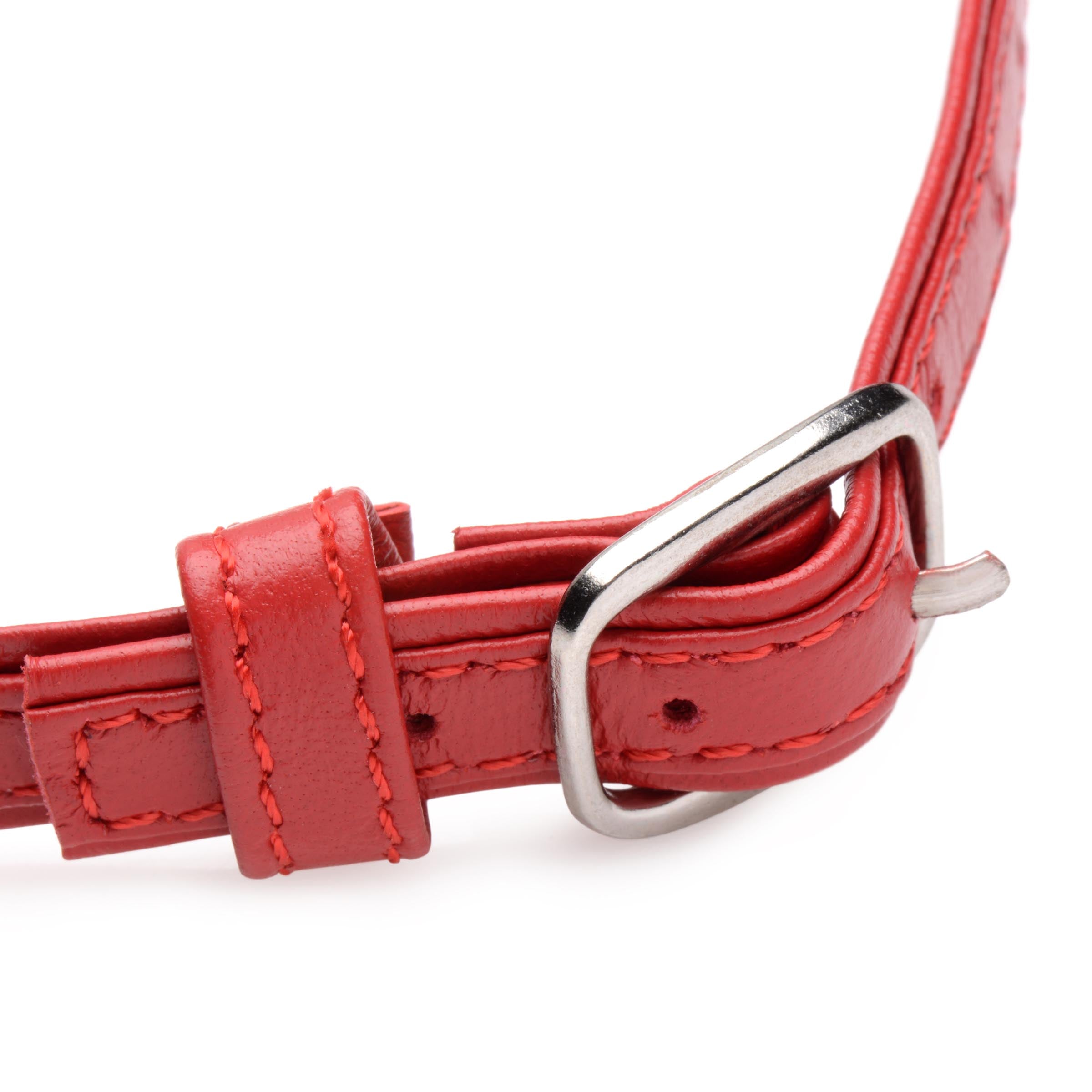Pet Leather Choker with Silver Ring - Fiery