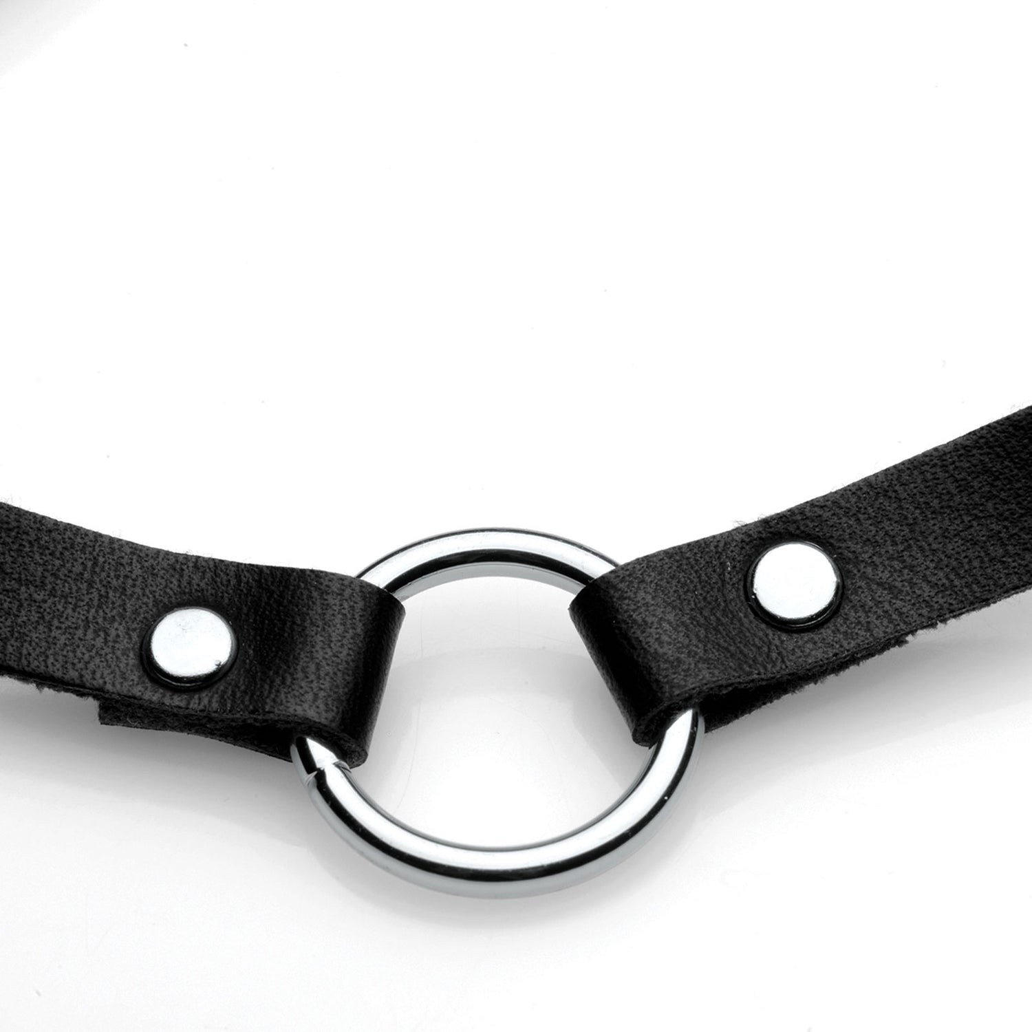 Pet Silver Ring Slim Choker - Lush