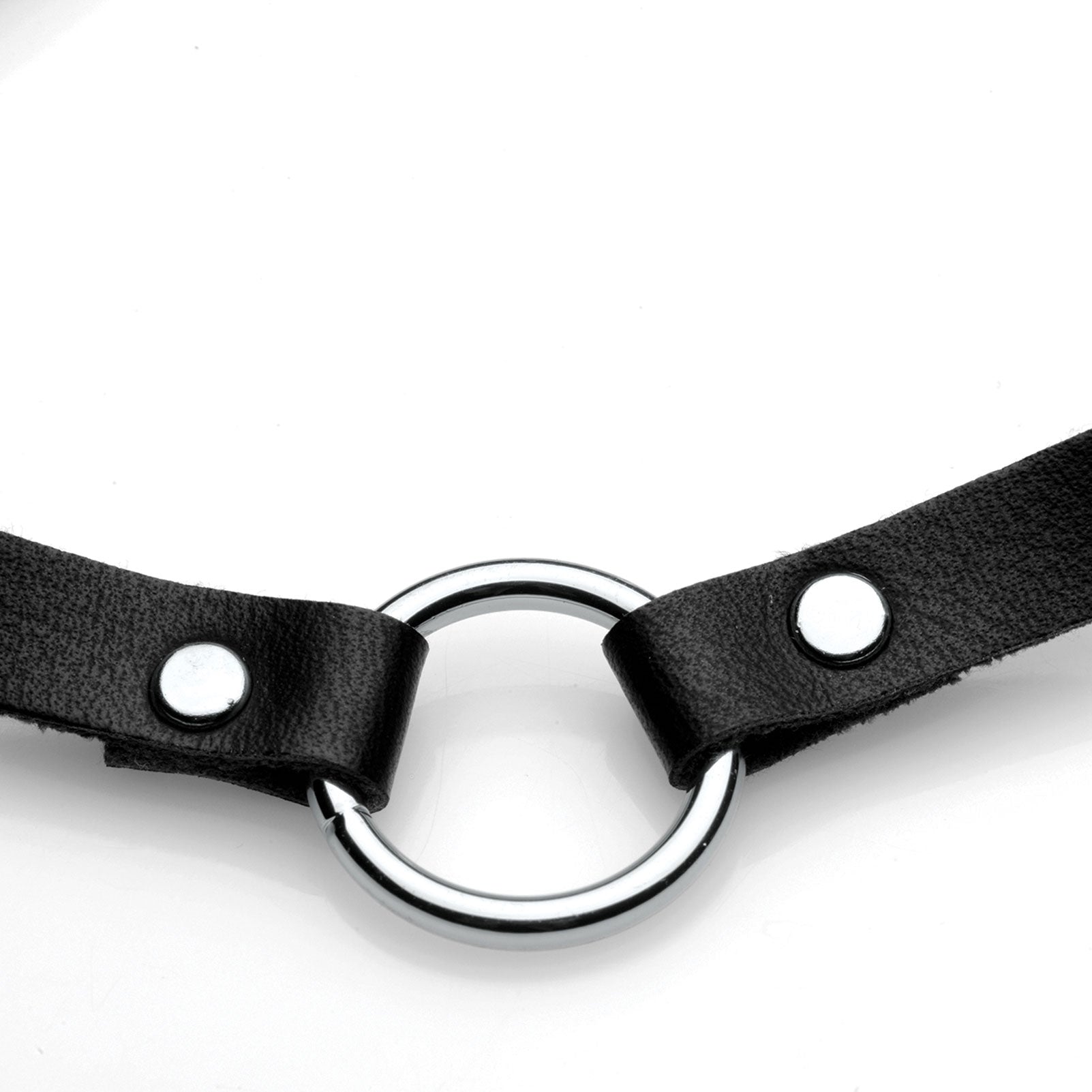 Pet Silver Ring Slim Choker - Lush