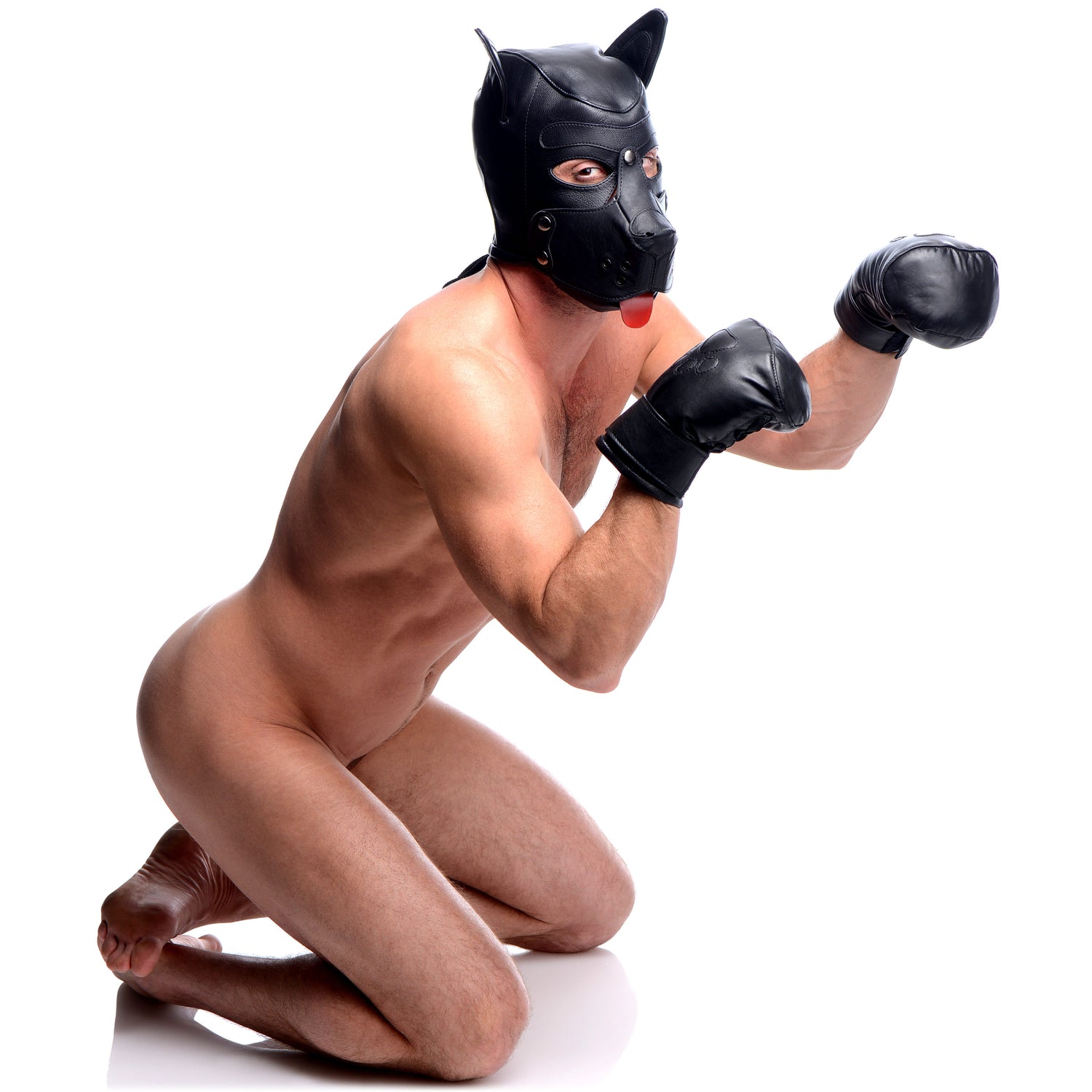 Strict Leather Padded Puppy Mitts