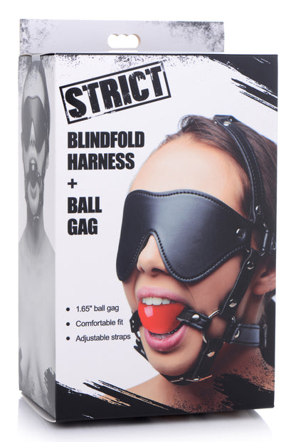 Blindfold Harness and Red Ball Gag