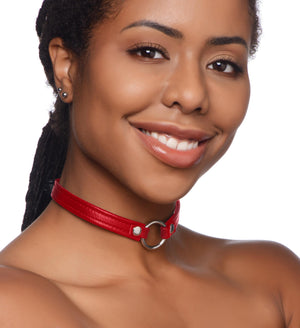 Pet Leather Choker with Silver Ring - Fiery