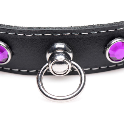 Royal Vixen Leather Choker with Rhinestones - Purple