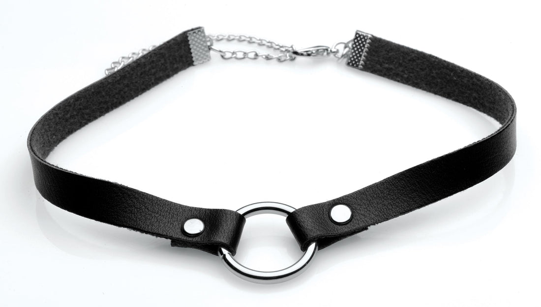 Pet Silver Ring Slim Choker - Lush