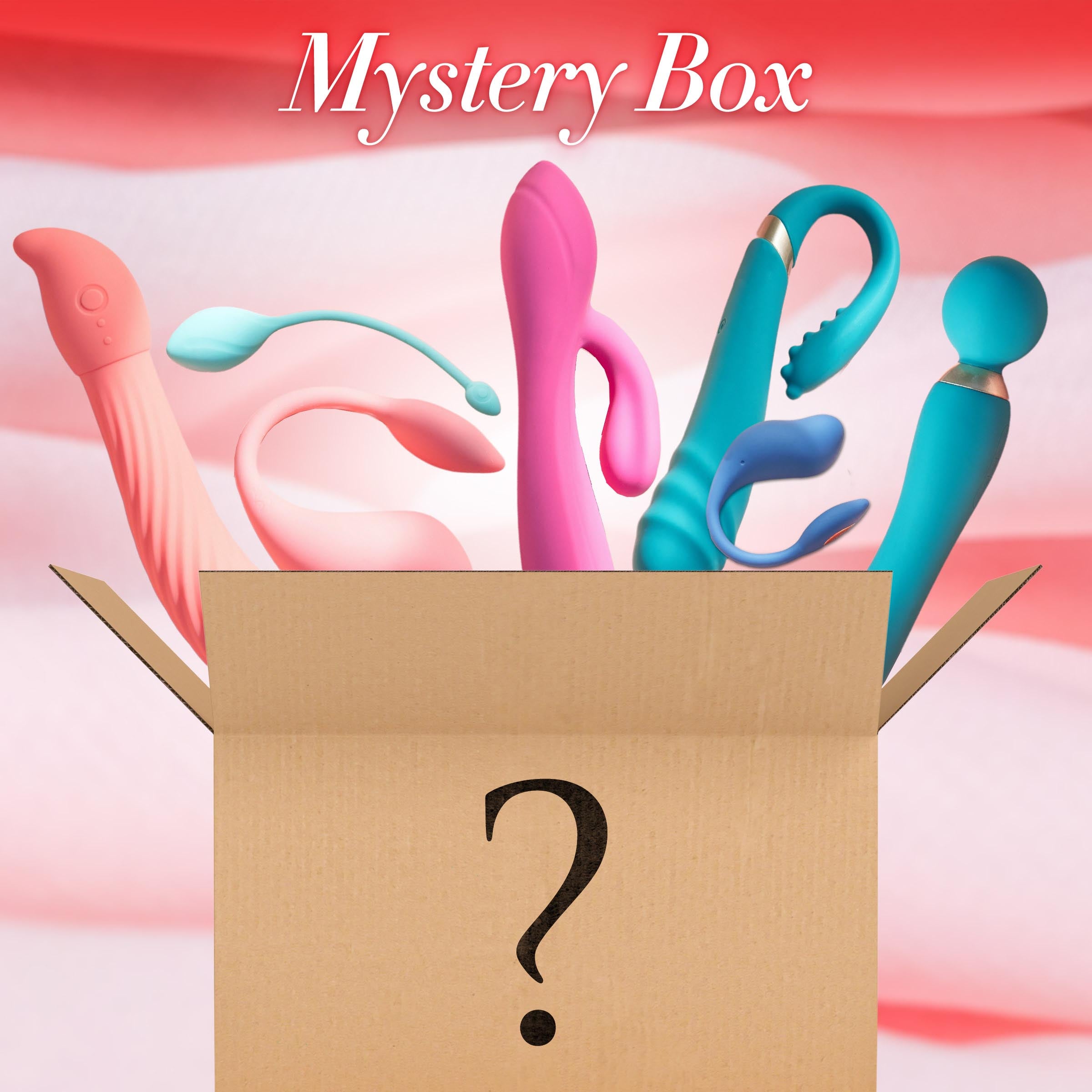 Female Sex Toy Mystery Box - Small