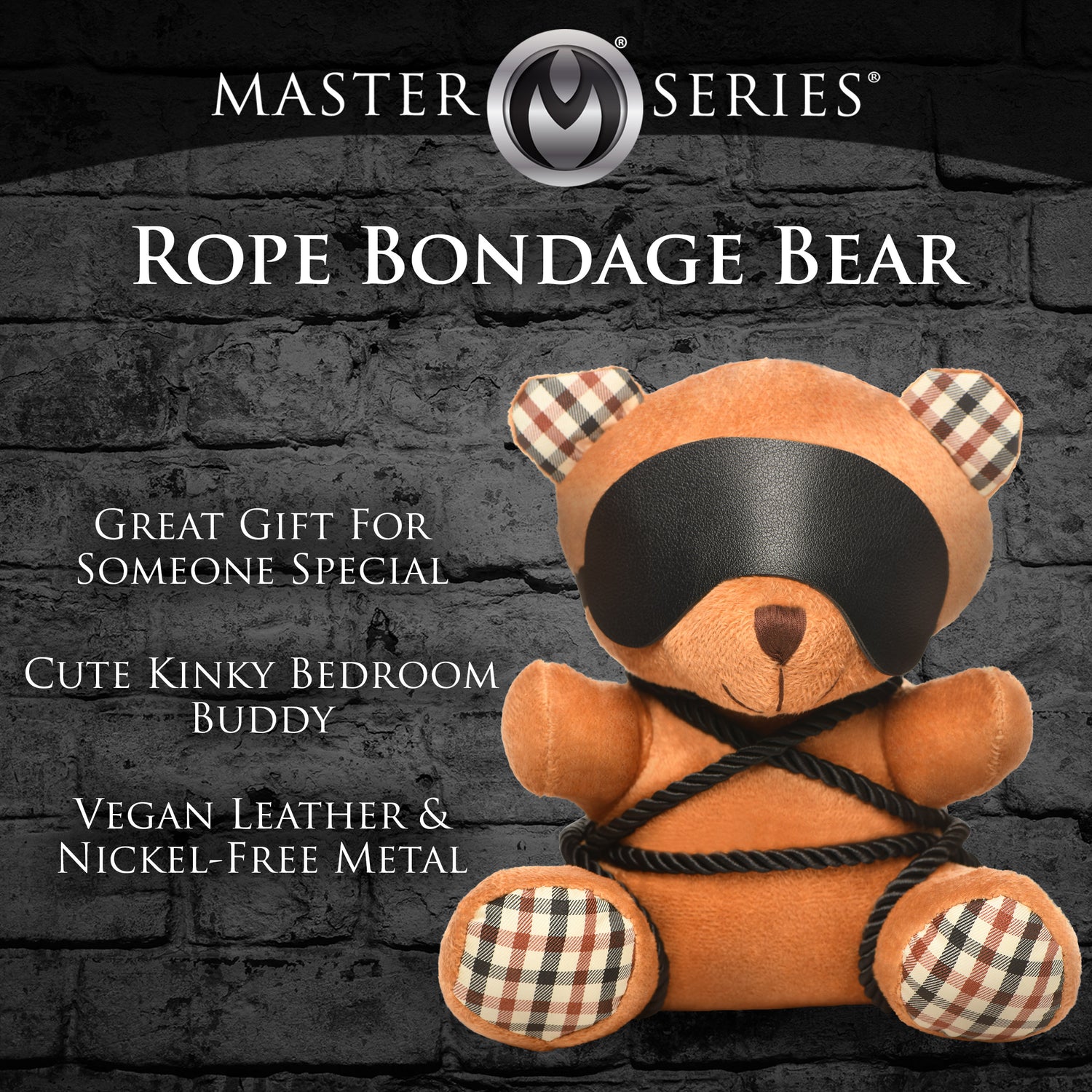 Rope Bondage Teddy Bear