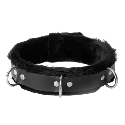 Strict Leather Narrow Fur Lined Locking Collar